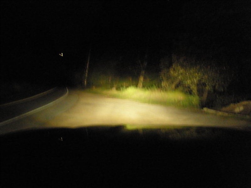 P1010018.jpg