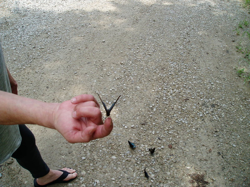 P1010018.jpg