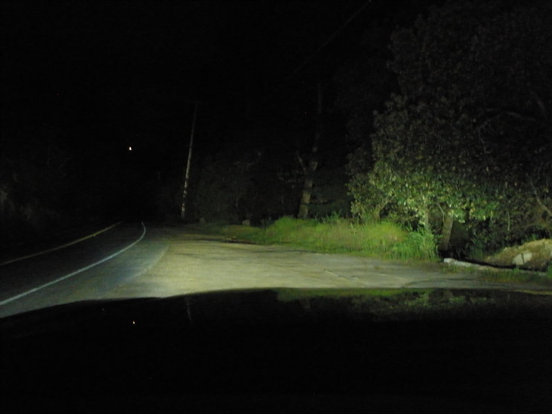 P1010019.jpg