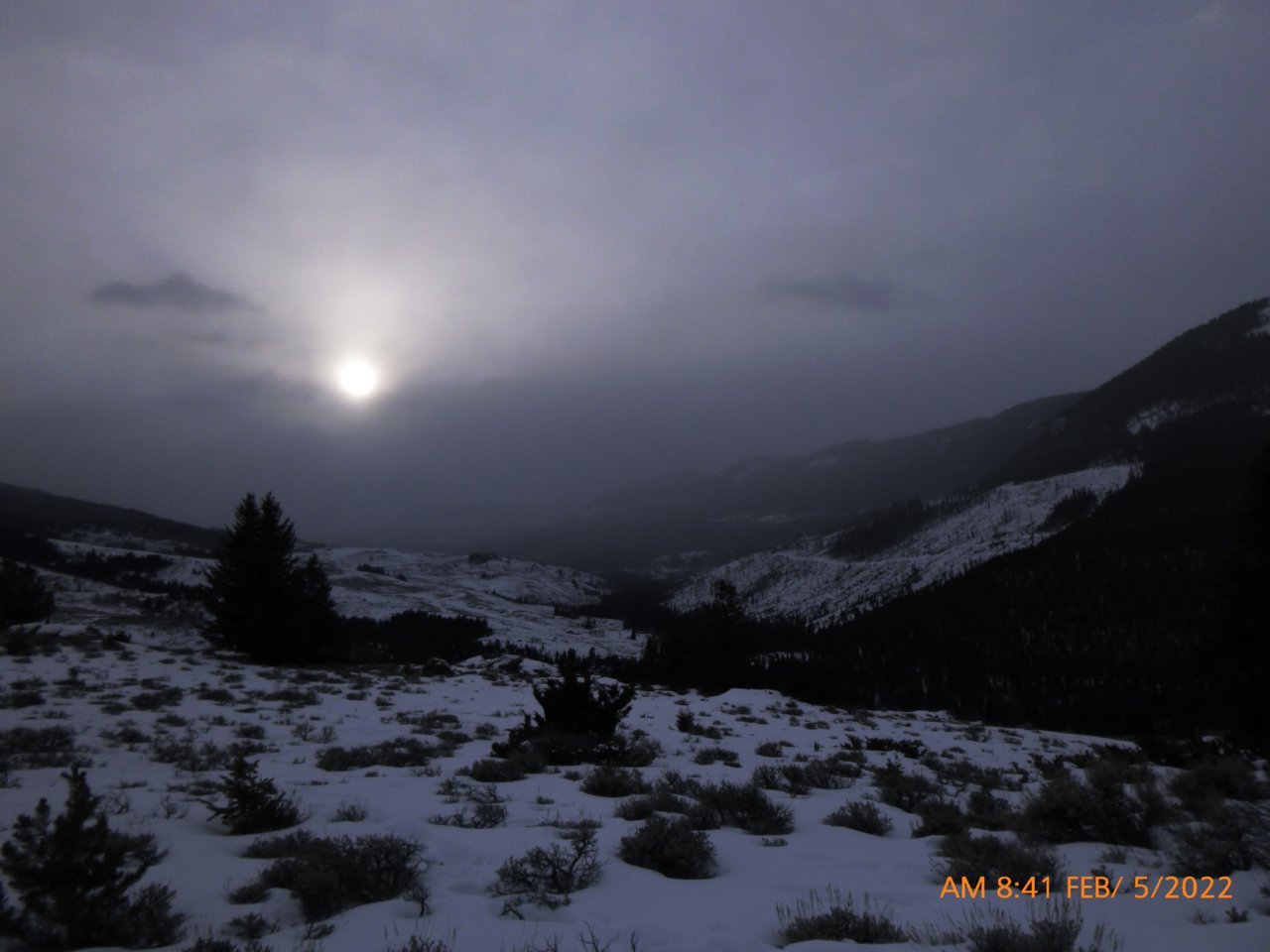 P1010021 (2).jpg