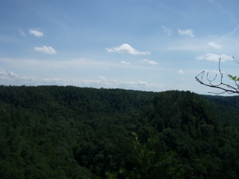 P1010021_6e4ff6068a54bb6a39c246c9dcd6e68164ec0f4c.jpg