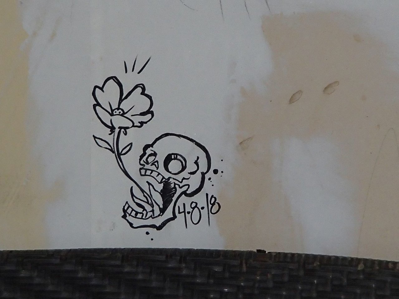 P1010023.jpg