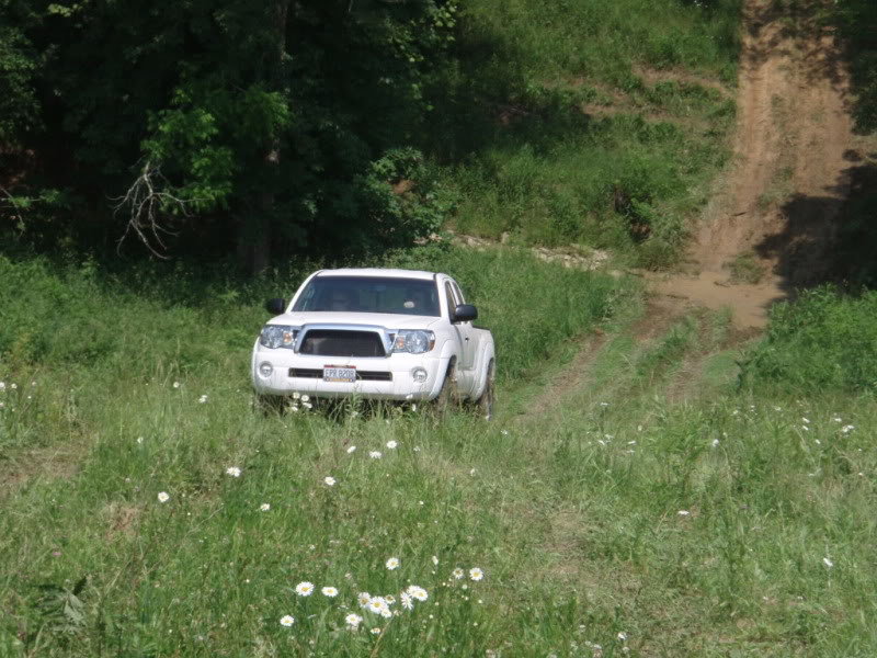 P1010034_b524086c355a1504b1ff158fad65c92c84668d37.jpg