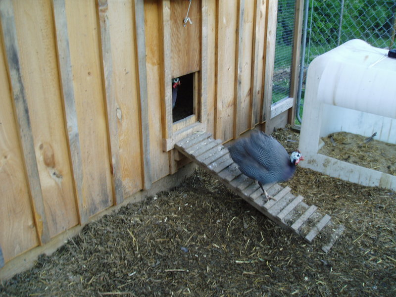 P1010036.jpg
