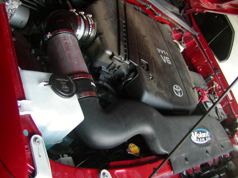 P1010037.jpg