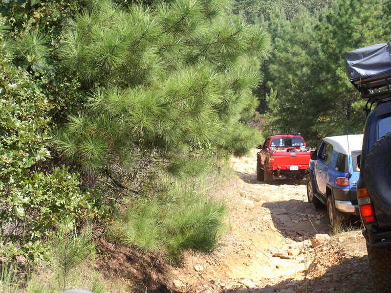 P1010078_8001361c2244f6c73311a85597ed16df1fb267de.jpg