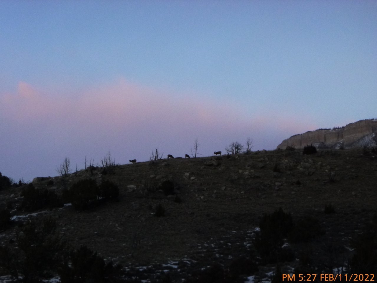 P1010111 (2).jpg