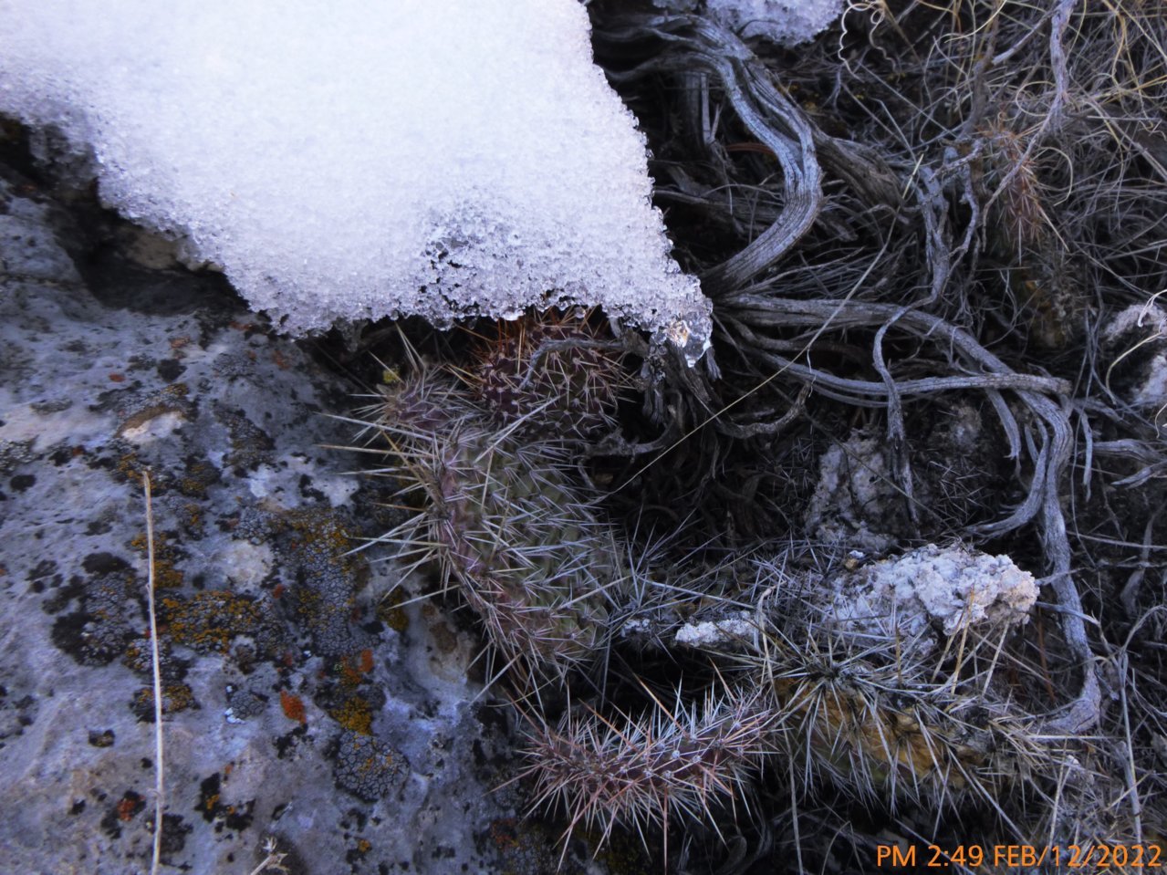P1010144 (2).jpg