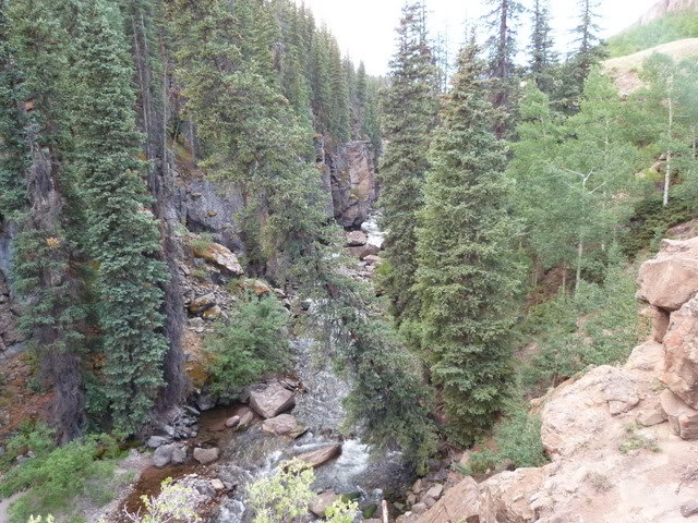 P1010157_53d7efe10f03eb7d6741f075621dd4d1578480bb.jpg