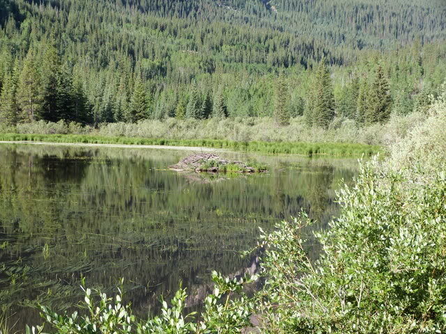 P1010170_01109886c8cc7bcd95798b5ebd806c2d38a20530.jpg