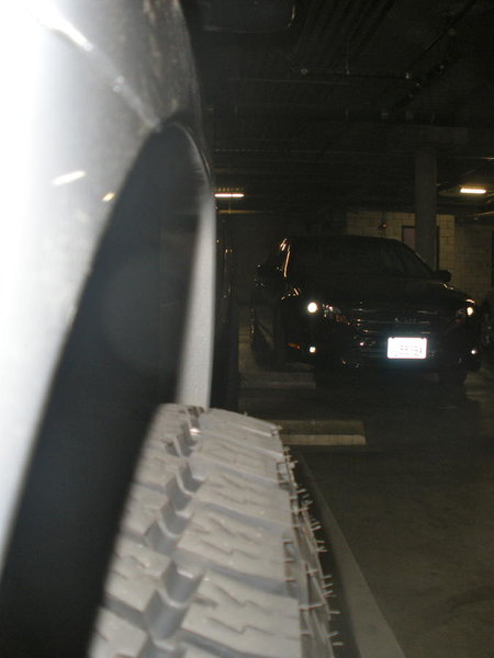 P1010196.jpg