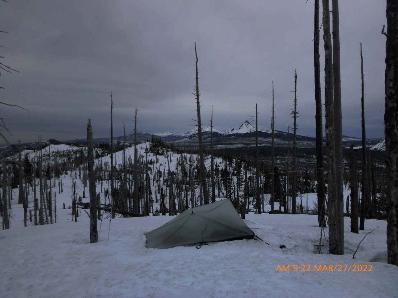 P1010198.jpg