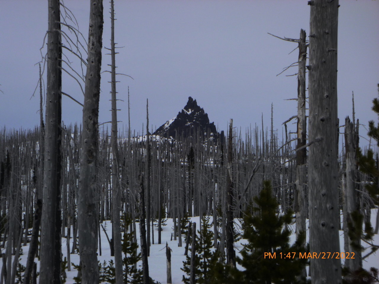 P1010229.jpg