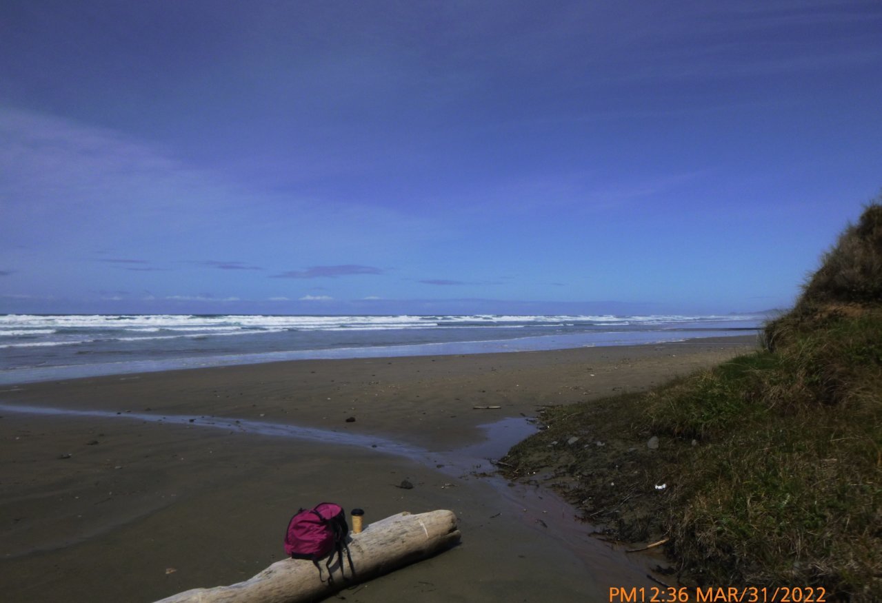 P1010343.jpg