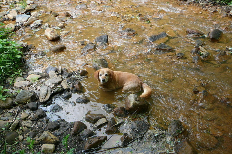 P1010414.jpg