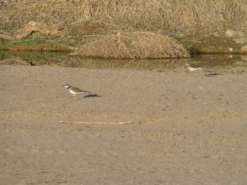 P1010430.jpg