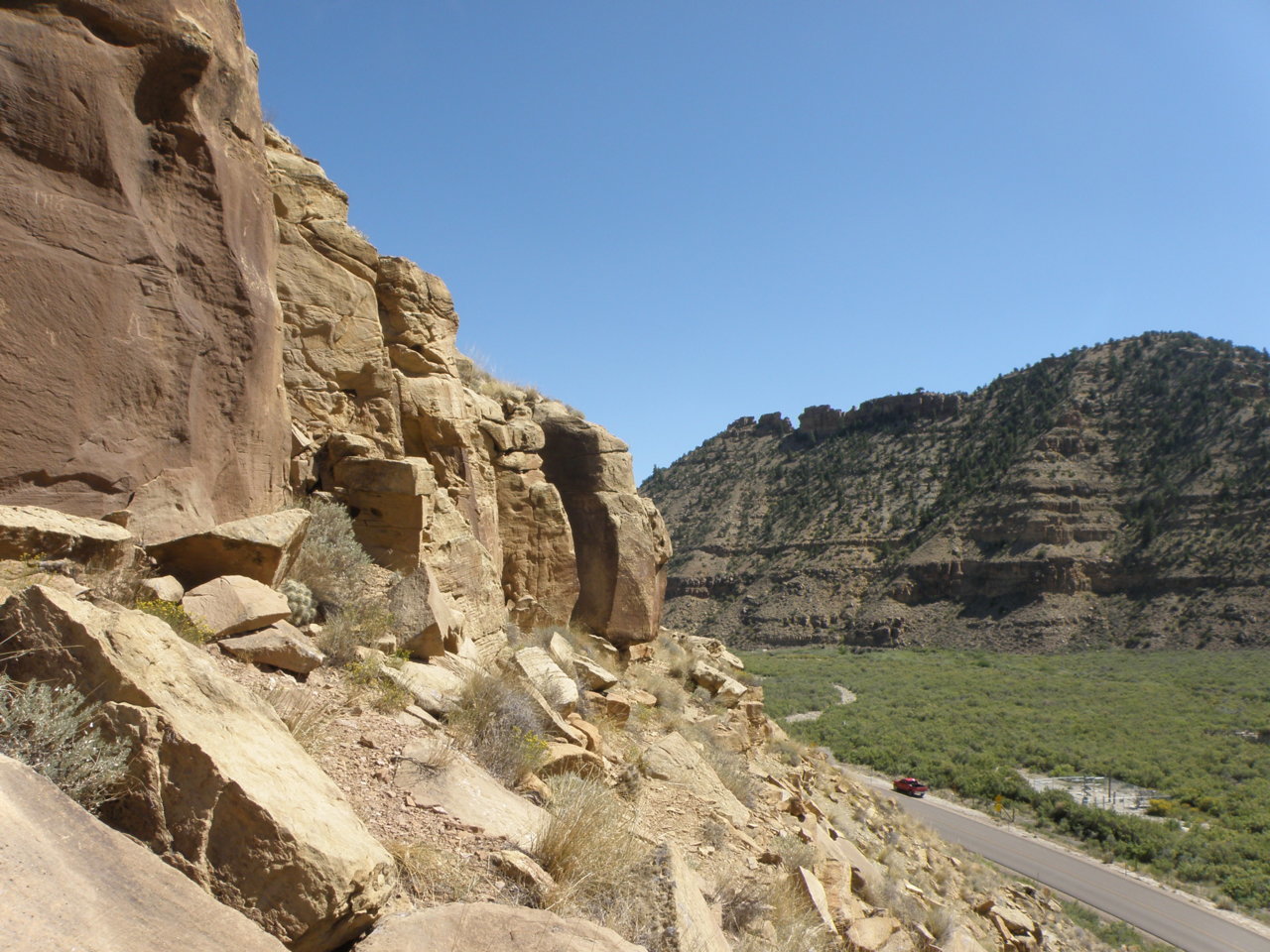 P1010438.jpg