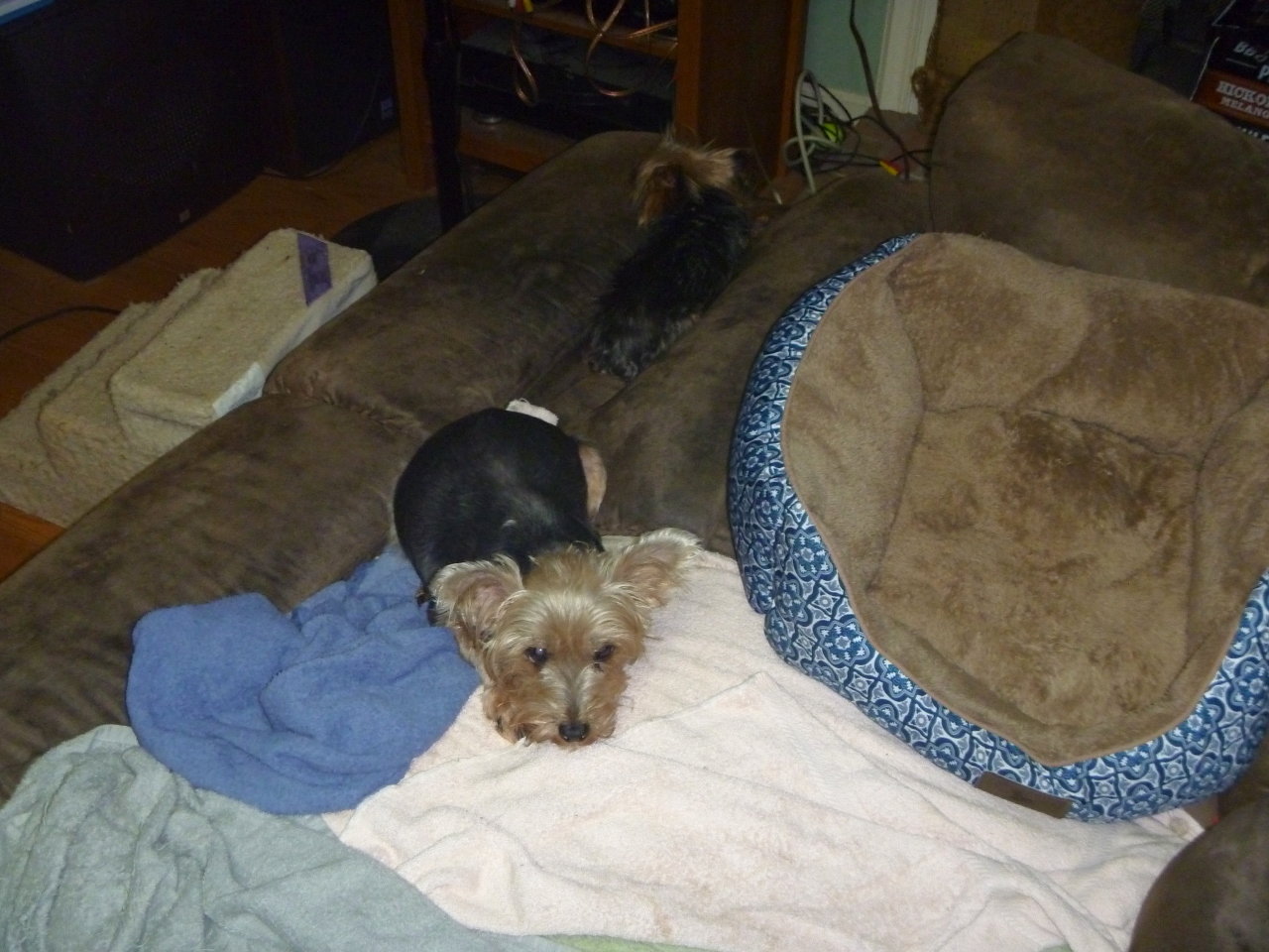 P10104452.jpg