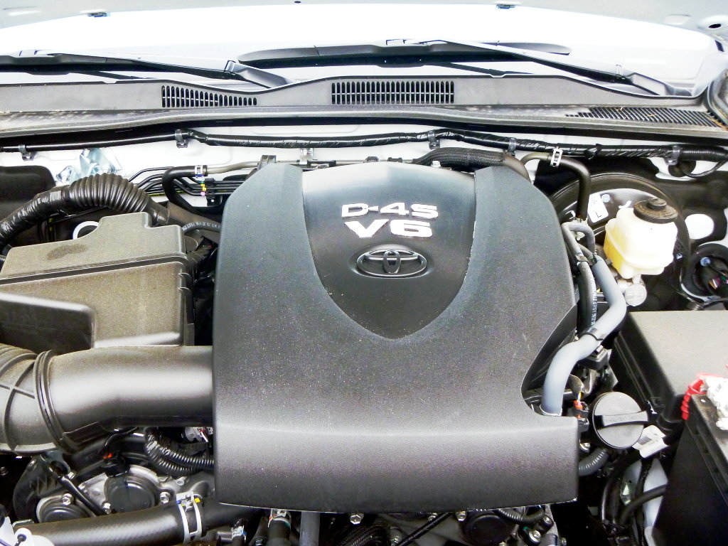 P1010486sm.jpg