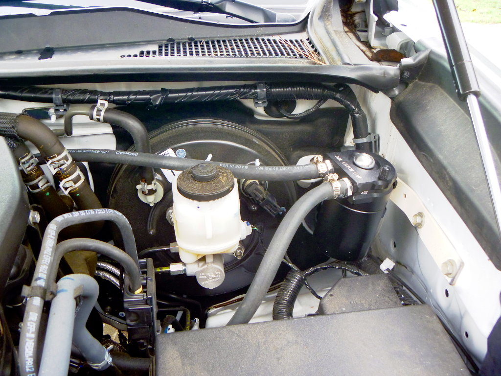 P1010494sm.jpg