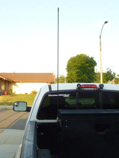 P1010504.jpg