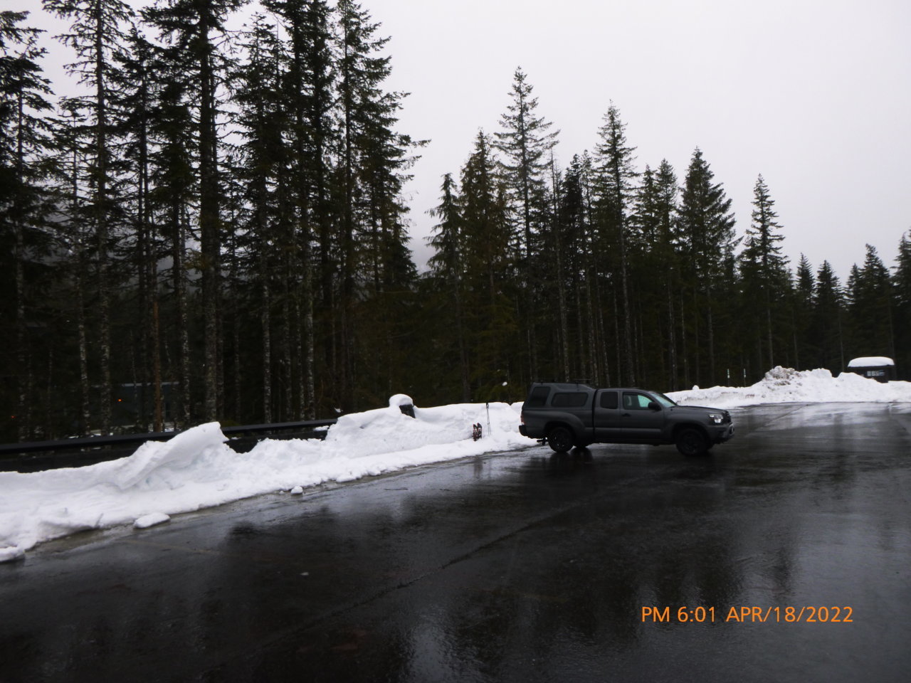 P1010533.jpg