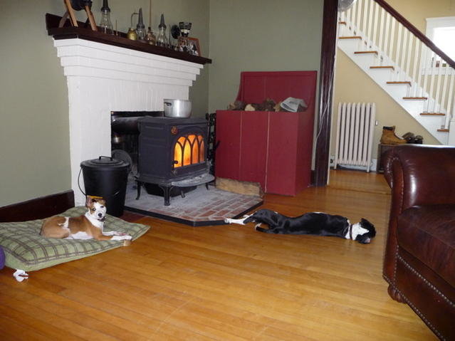 P1010597.jpg