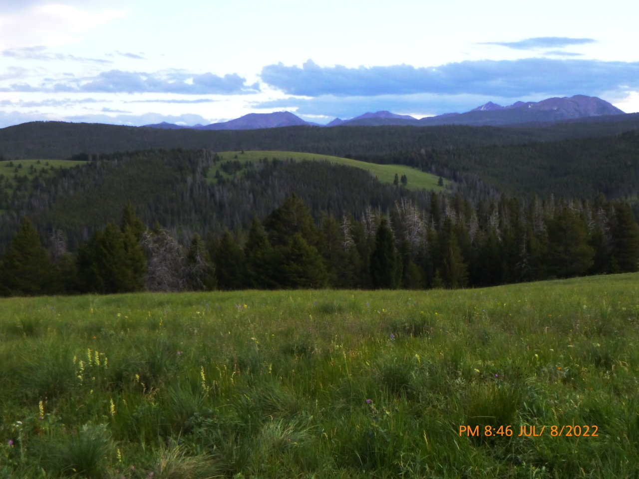P1010666.jpg