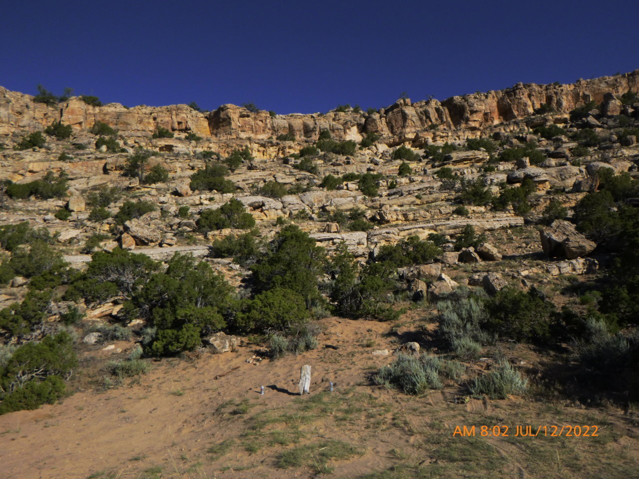 P1010877.jpg