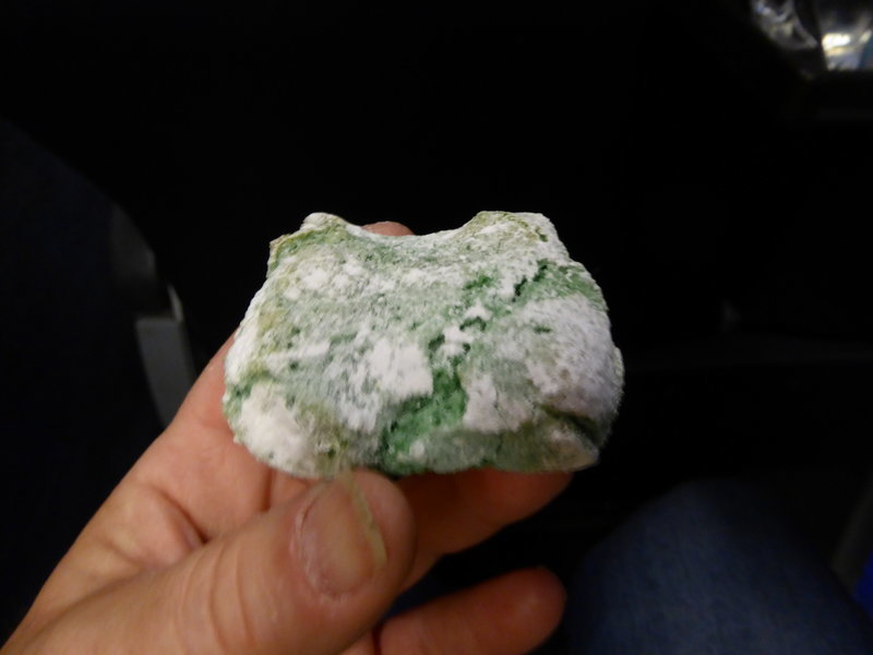 P1020194.jpg
