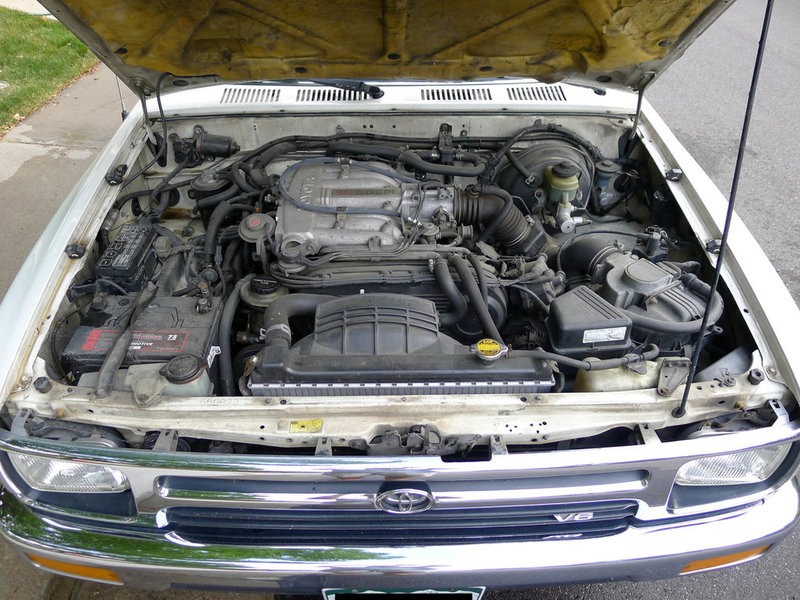 P1020305 copy.jpg