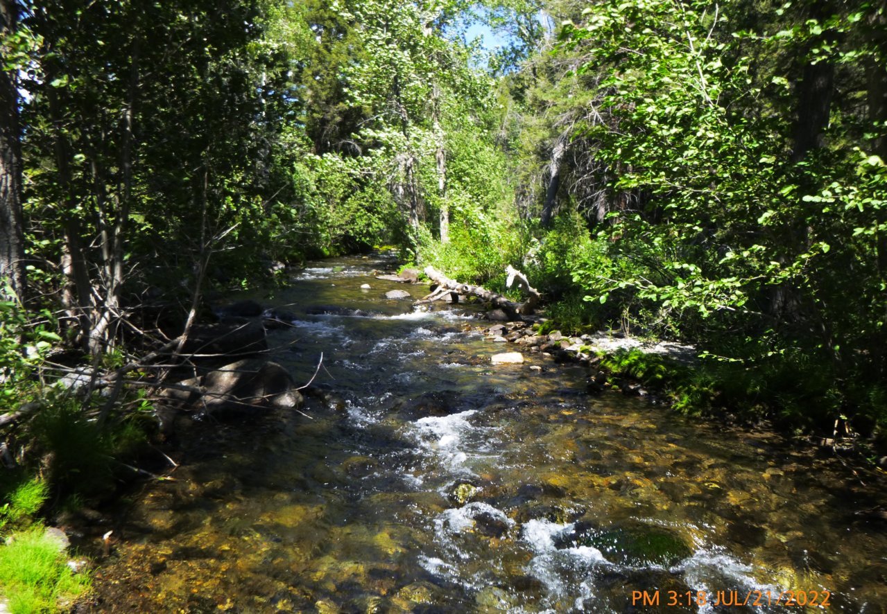 P1020307b.jpg