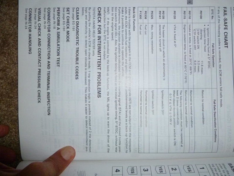 P1020392.jpg