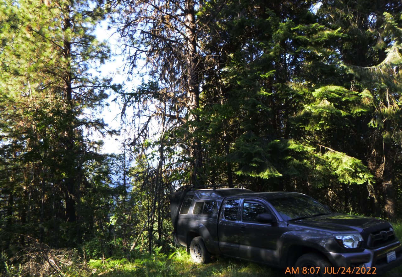 P1020395b.jpg