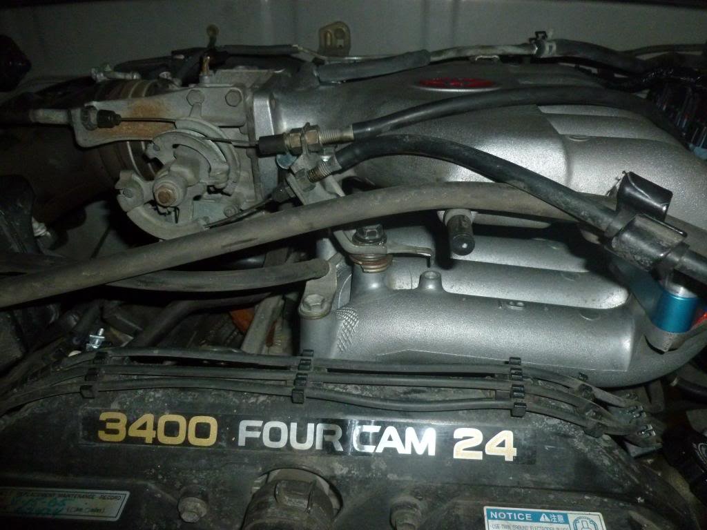 P1020446_zps35e641de_b2b76ffa7a26e4bc029874c1dd46ff02b5fc6cf4.jpg