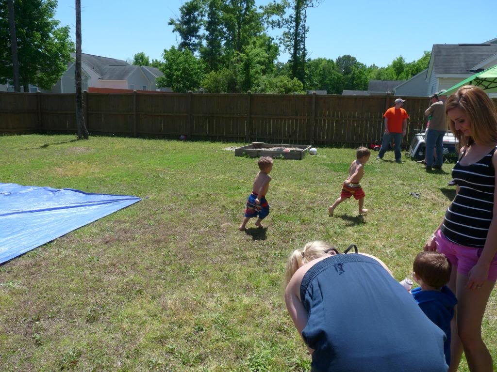 P1020801_zps6c377b52_44caa0e05b9fc19a00cc5e5f1f0bfdddabe5f378.jpg