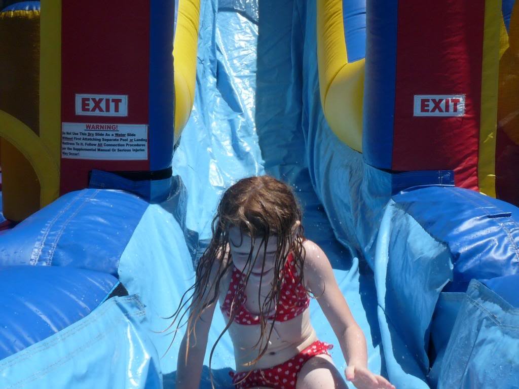 P1020814_zps1e86d232_0823c837f829d2123f15daac4438a67bc79b1af6.jpg