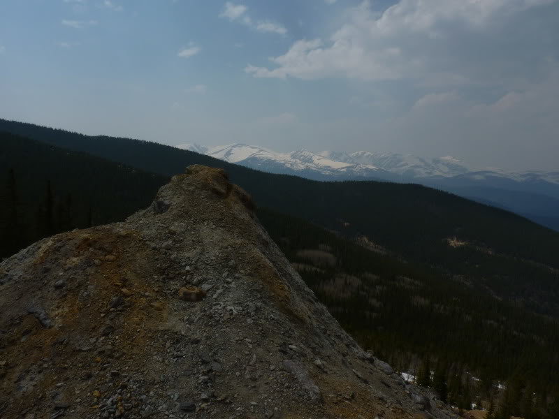 P1020979_daeadddba22d5a8f321f5173ae199279a481a5f4.jpg
