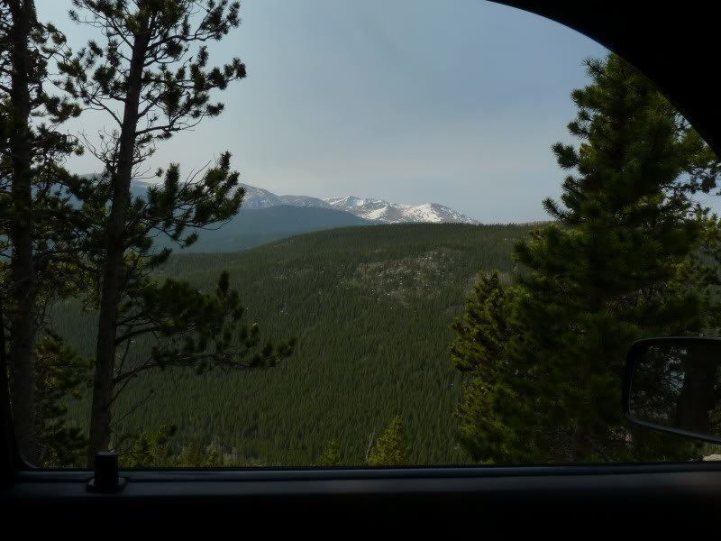P1030015_f7a23cca0f9dfc44ced620c295afe2aec6e6dd04.jpg