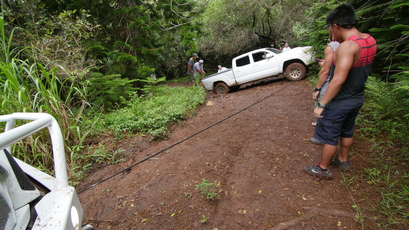 P1030073.jpg