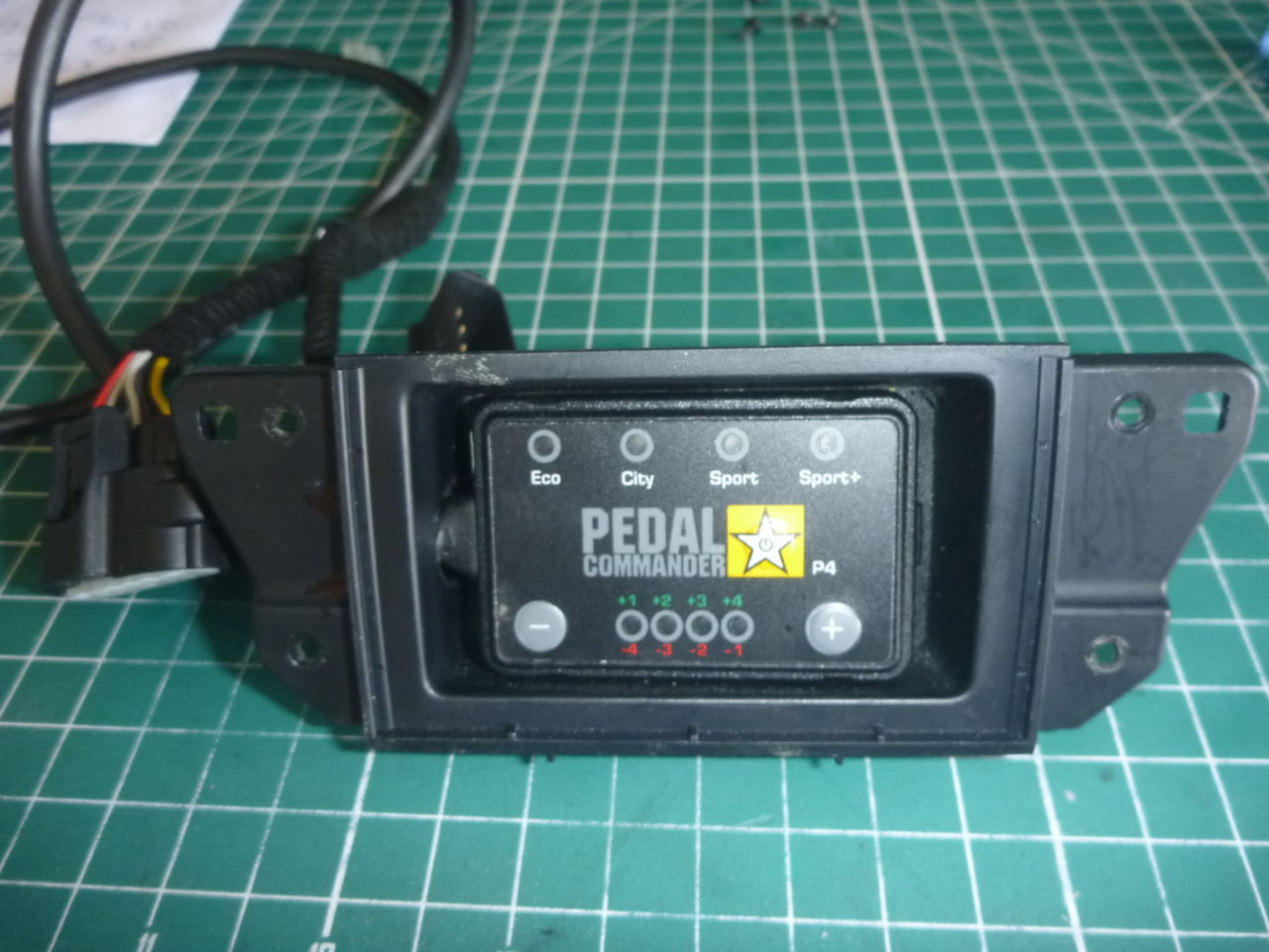 P1030120.jpg