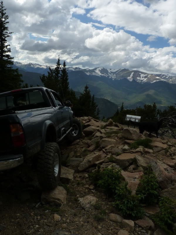 P1030184_0e553ea97c29472128a03a728758150a0d0f5abd.jpg