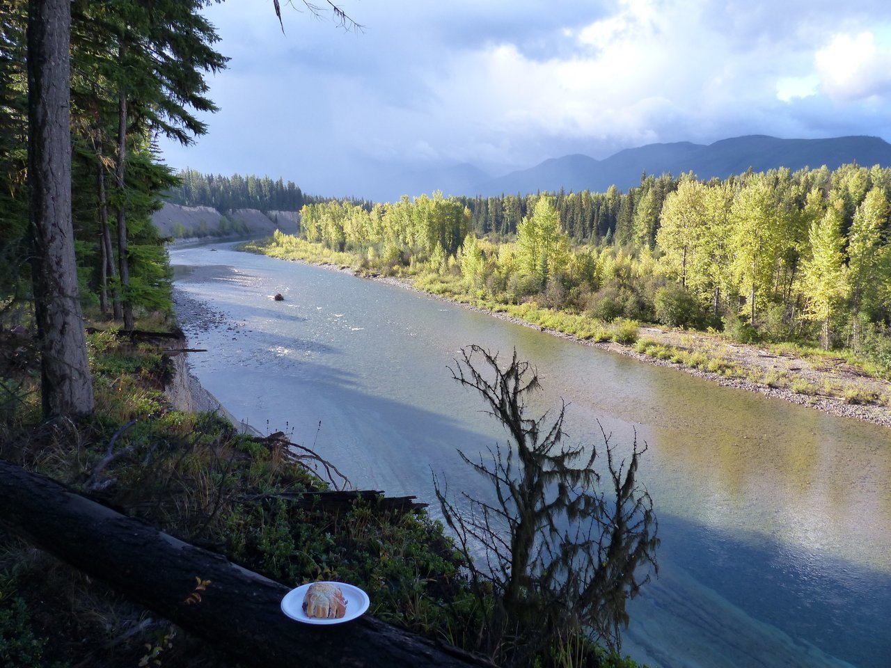 P1030443.jpg
