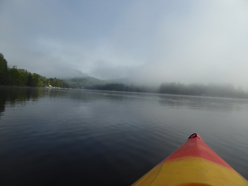 P1030520.jpg