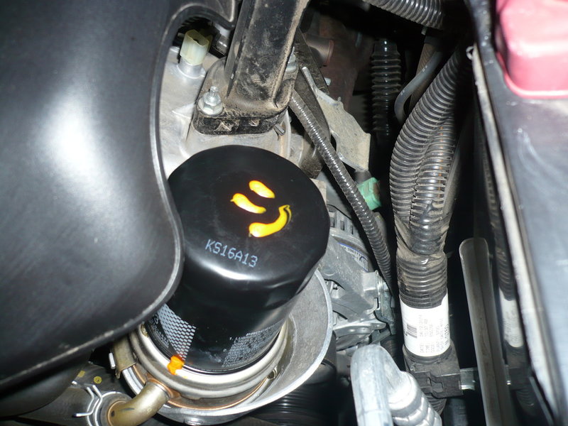 P1050065_zpsk1reg6p5.jpg