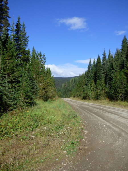 P1050141.jpg