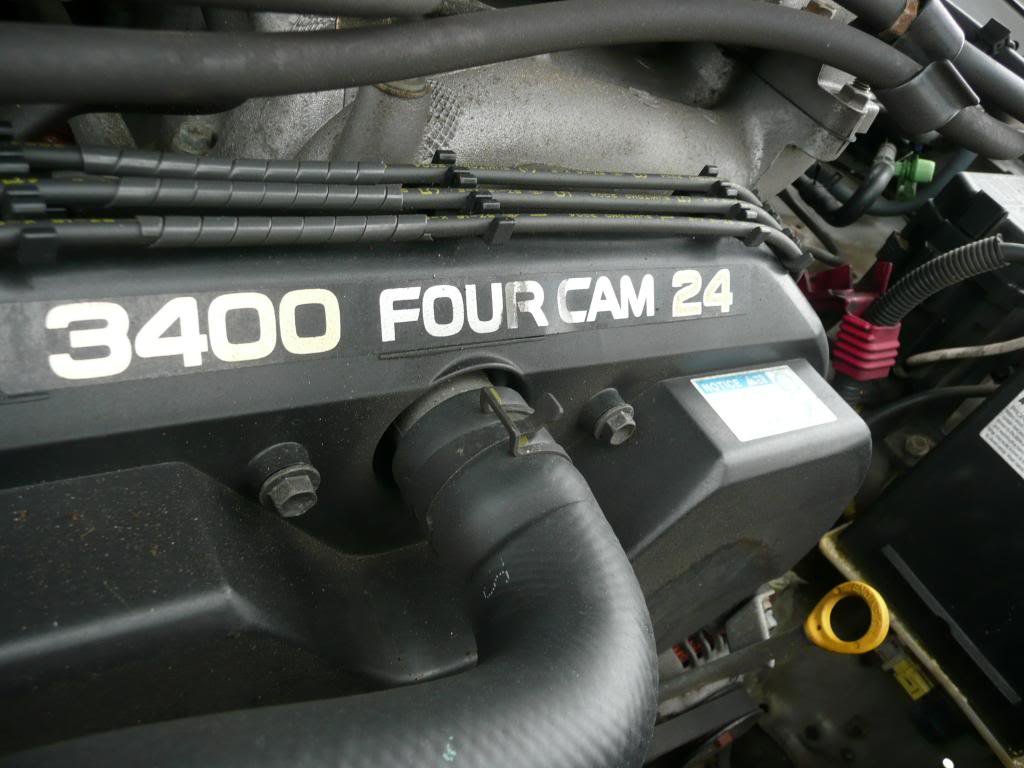 P1050655_zps680d7ac0_06cc2f945e094ce96c6248252580e26a5f4b1fa7.jpg