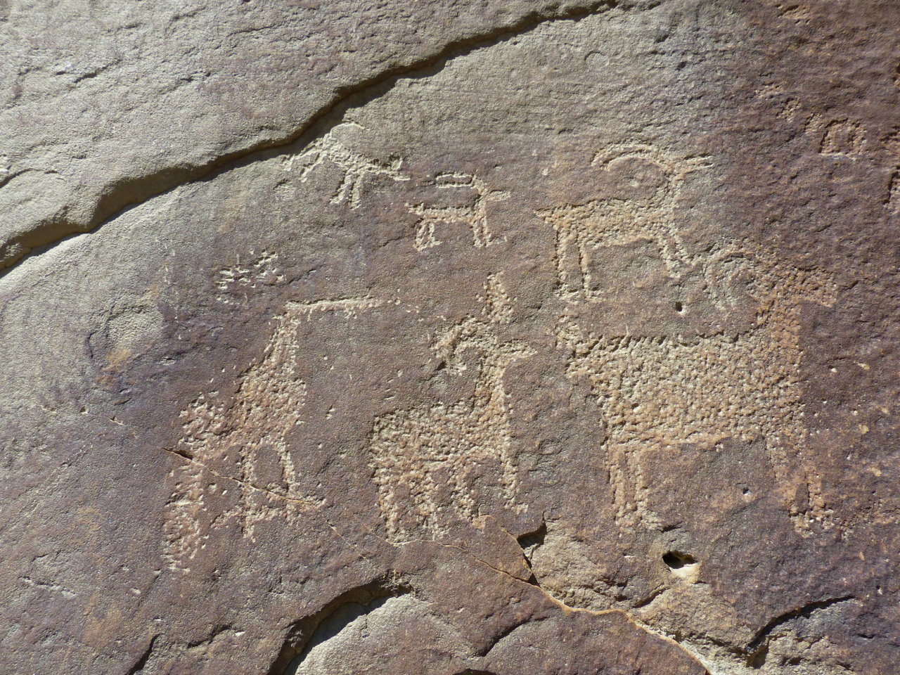 P1050850.jpg