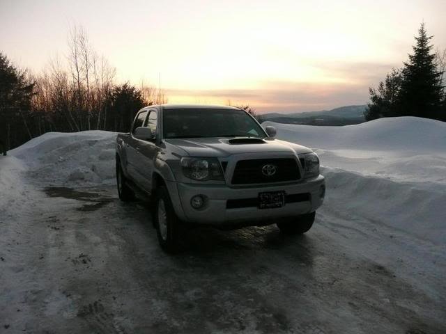 P1060537Tundra_3ba65f5620ae06360e1d57ddebfcc00f2094d49f.jpg
