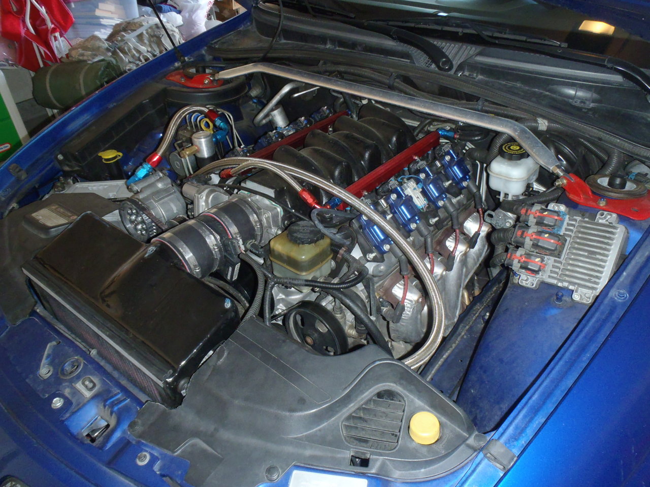P1090293.jpg